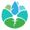 Wellness Online Market Solutions
